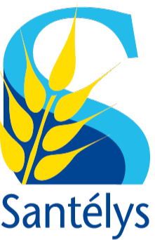 Logo Png SanteLys